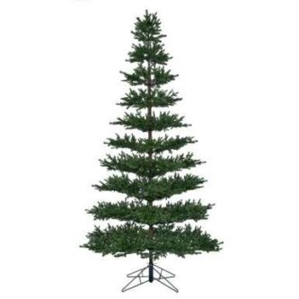 Baby Noble Fir Tree with space branches for ornaments