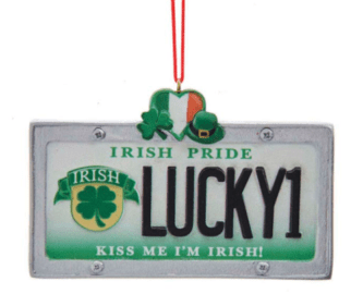 "Lucky1" Irish License Plate