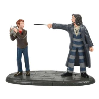 Come Out and Play, Peter! Dept. 56 Harry Potter™ New 2022
