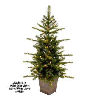Winston Spruce Potted Trees warm white lights