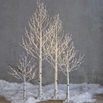 Lit White Birch Trees