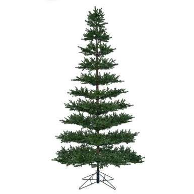 Baby Nobel Fir Christmas Tree