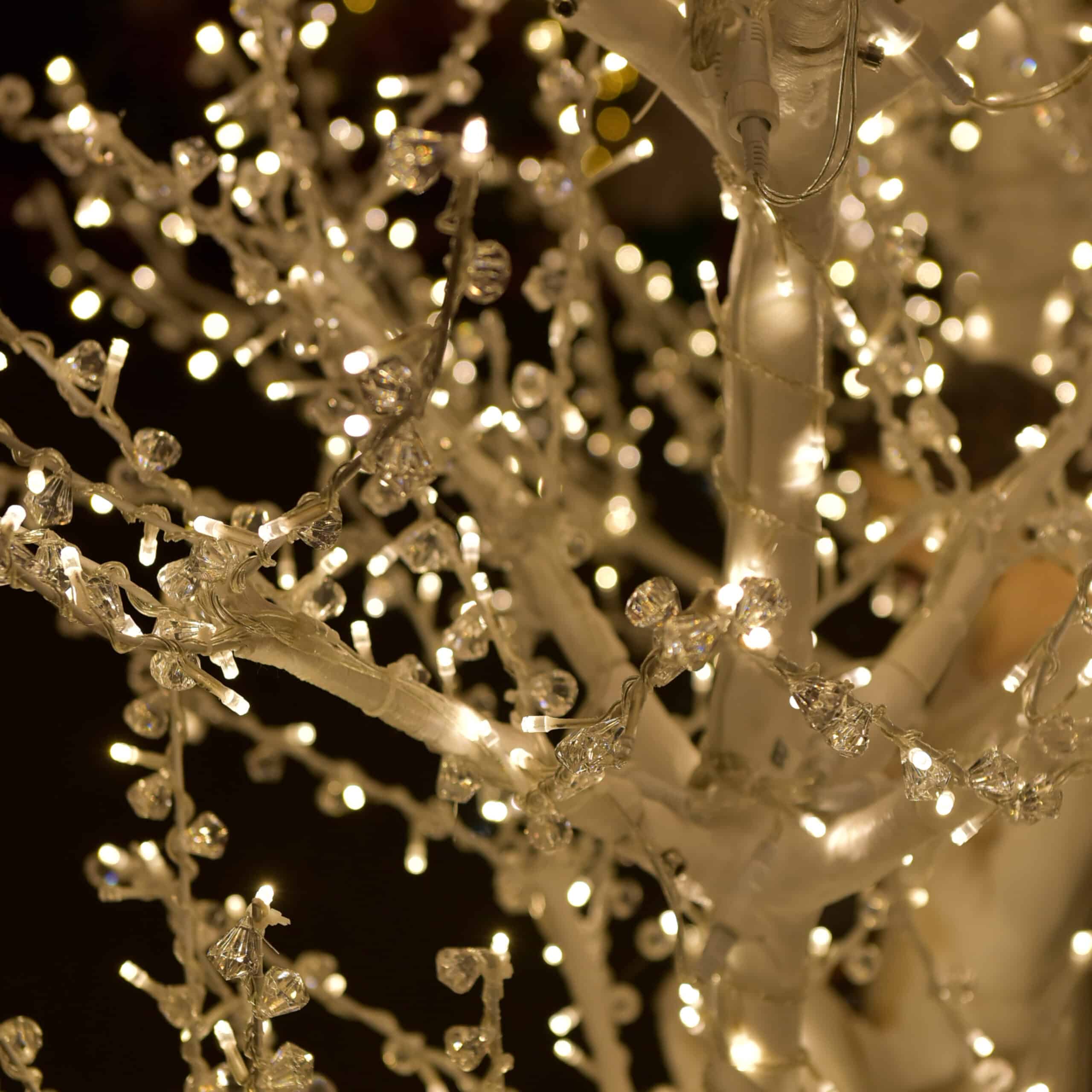 Crystal Light Tree #3 1;1
